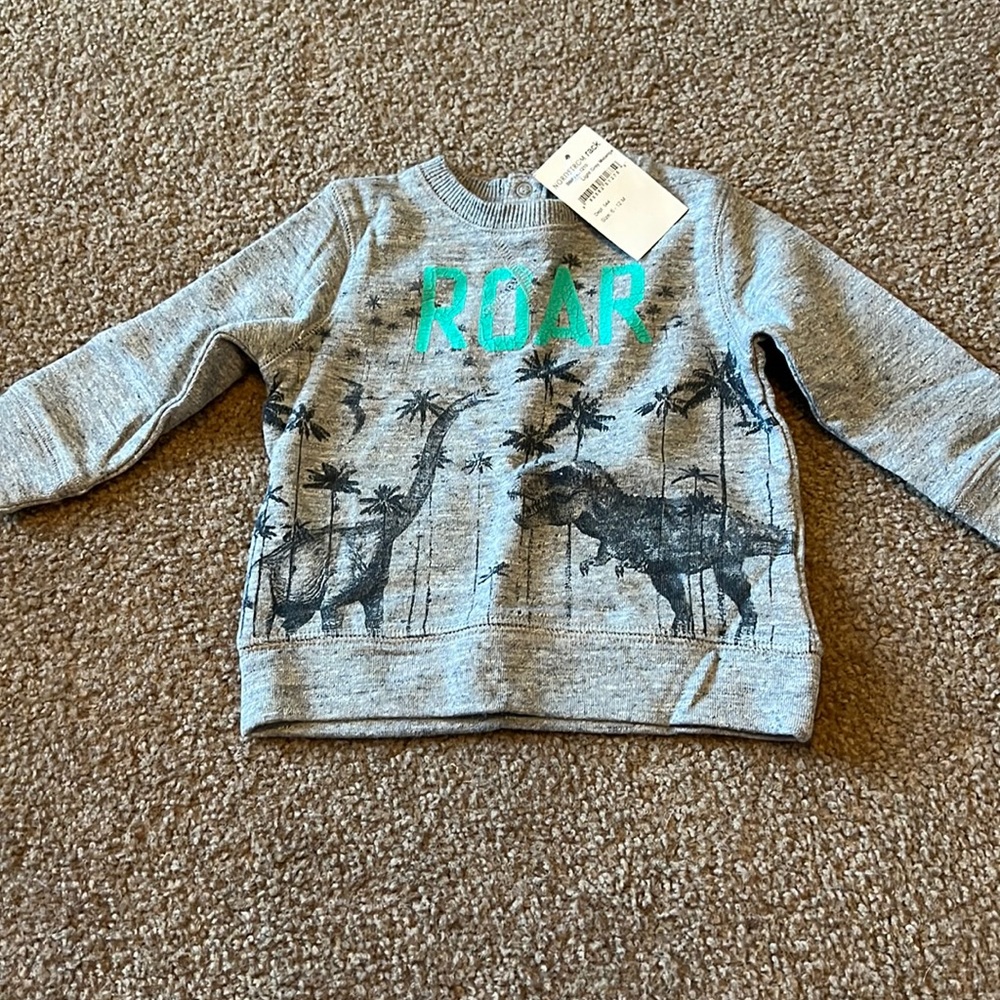 Dinosaur Sweatshirt.  BNWT.  6-9 month.